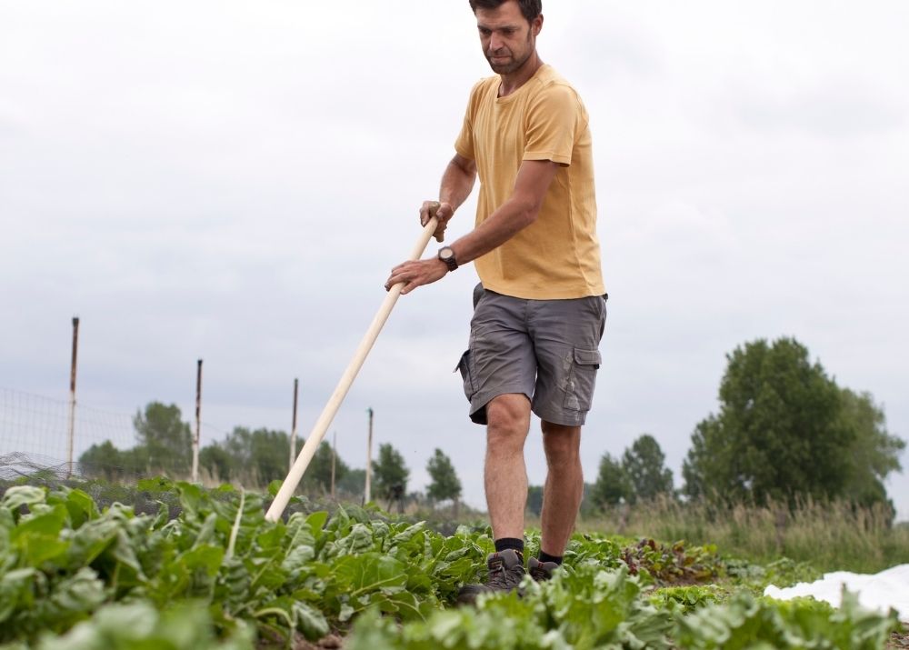 Rapport Over Wensen En Noden Van Agro-ecologische Boeren | De Landgenoten